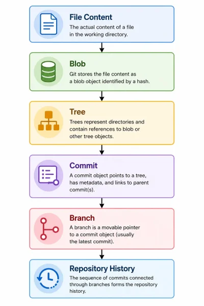How Are Blobs, Tree, and Commits Connected?